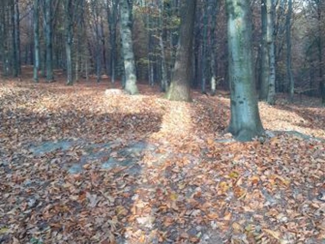 JESIEŃ
