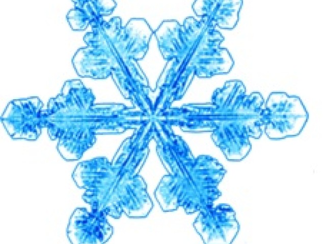 Ferie 2018 - szukamy wolontariuszy