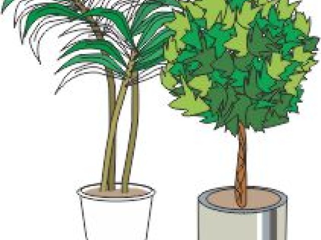 Wymień odpady na sadzonki