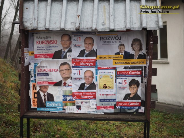 Wybory 2014 w Głogoczowie