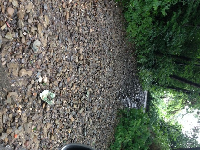 Gwałtowne opady i burze