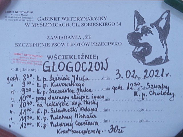 Szczepienie przeciw wściekliźnie