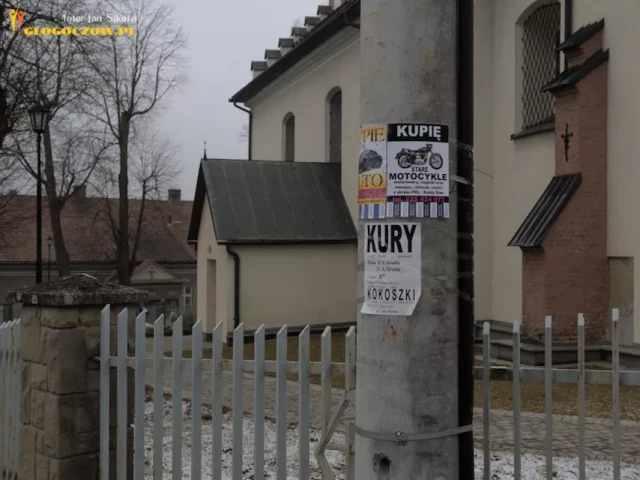 Nowa Polityka Informacyjna