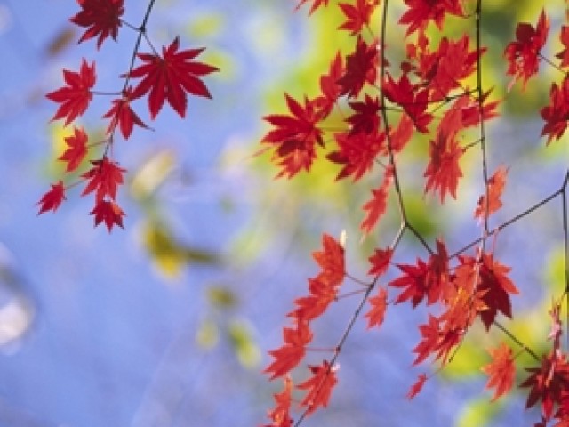 Spotkania w Bibliotece