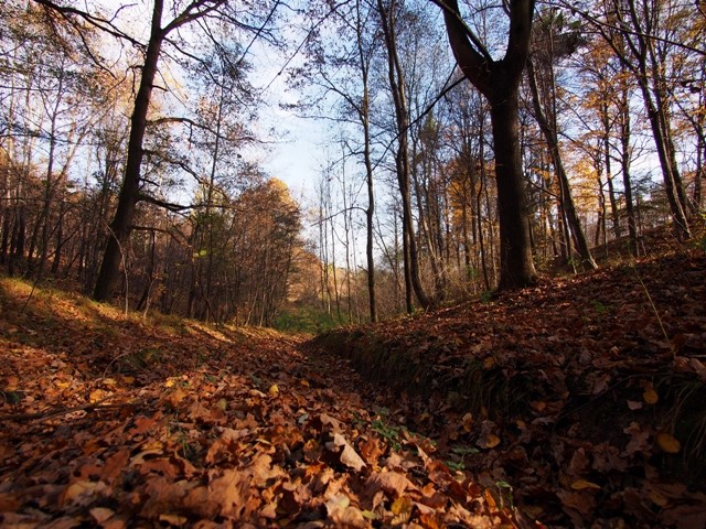 Głogoczowska jesień w obiektywie Mieszkańców