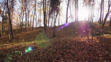 Głogoczowska jesień w obiektywie Mieszkańców- Wspólna Galeria