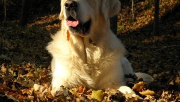 Galeria zdjęć Anety Żarskiej