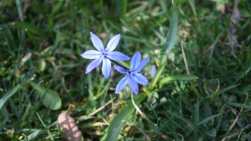 Głogoczów wiosną 2014 - Wspólna Galeria Mieszkańców