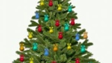 Choinka Mojej Babci 2017